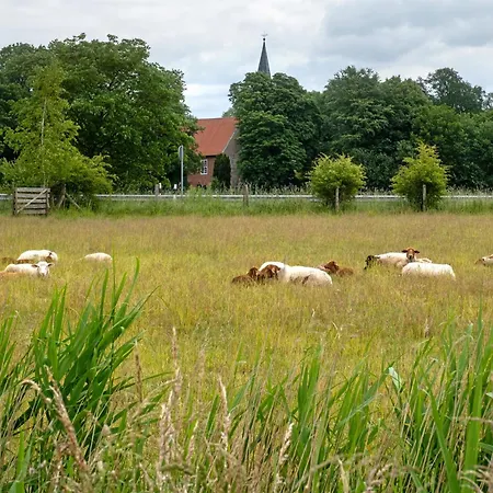 Jadebusen Apartmán Augusthausen